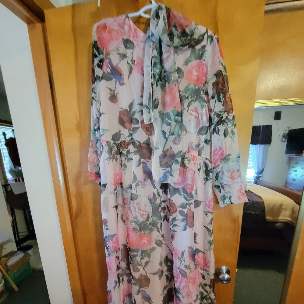 Long dress, see-through long sleeves.